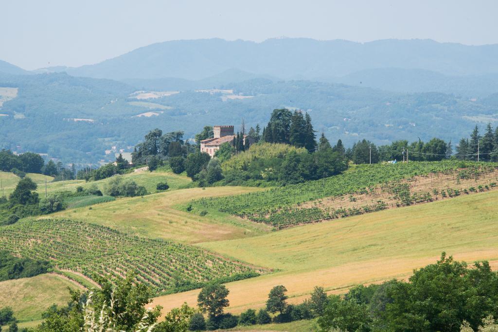 Agriresort&Spa Fattoria I Ricci Vicchio Exterior foto